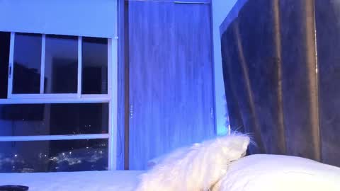 Snapshot of holly_29_m chatting on 02-11-25, 03:29 Mara online show from 02-11-25, 03:29