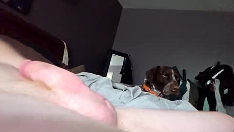 Snapshot of hollyjesde143 chatting on 09-25-25, 03:05 Hollynjessie143 online show from 09-25-25, 03:05