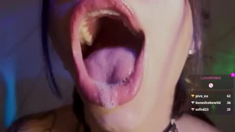 holly online show from 02-03-26, 05:40