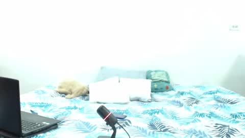 Holycode online show from 02-02-25, 10:57