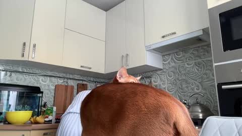 Snapshot of holydori chatting on 02-10-25, 08:53 dori not holy get my tg channel with link from description under last photo online show from 02-10-25, 08:53