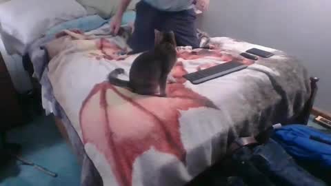 Sebastians Mess online show from 10-04-25, 12:41