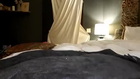 Snapshot of honeyhive_4u chatting on 10-17-25, 06:27 Honey online show from 10-17-25, 06:27