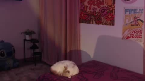    online show from 12-11-24, 12:12