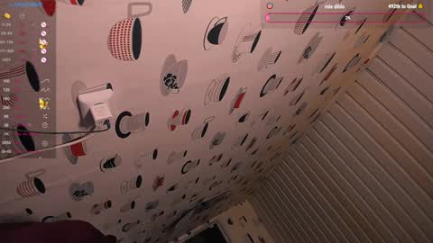 the perfectgirl online show from 12-28-24, 12:13