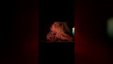 hoodiehoe online show from 03-03-26, 06:41