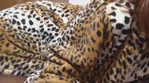 Serena online show from 02-22-25, 10:20