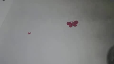 Iris online show from 11-10-25, 07:57