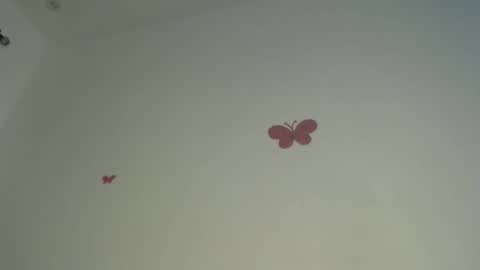 Iris online show from 04-06-26, 07:48