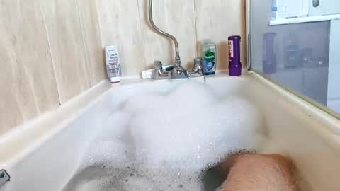 Snapshot of hornybiker1987 chatting on 11-25-25, 12:05 hornybiker1987 online show from 11-25-25, 12:05