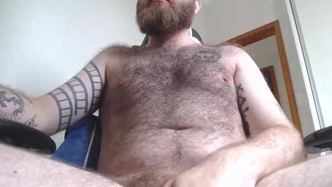 Snapshot of hornyhairy_bi chatting on 02-22-26, 01:53 Harry online show from 02-22-26, 01:53