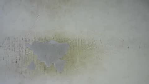 Snapshot of hornyslut_xx chatting on 02-25-26, 11:58 Bella online show from 02-25-26, 11:58