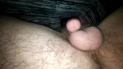 horsecock9748 online show from 02-12-25, 09:52