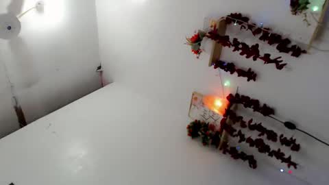    online show from 02-23-25, 01:32