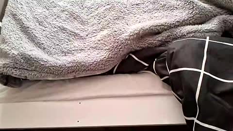 hot_m4le online show from 11-01-25, 12:23