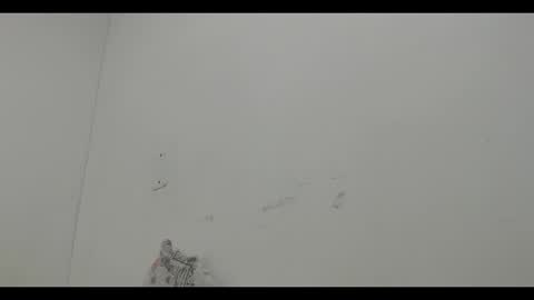 Mia online show from 12-12-24, 11:58