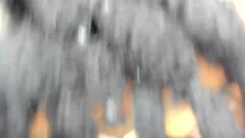 Snapshot of hot_moxie chatting on 11-15-25, 04:43 hot_moxie online show from 11-15-25, 04:43