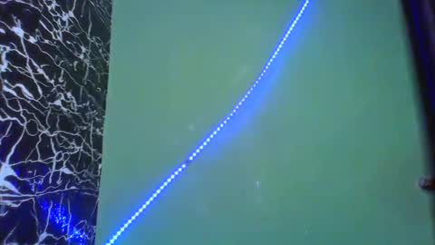 Stella online show from 02-14-25, 08:52