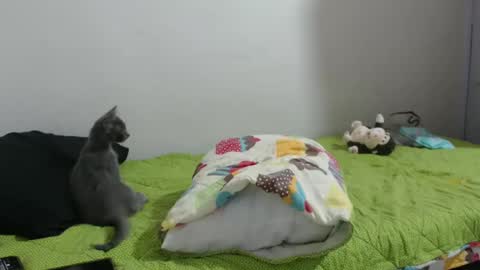 Snapshot of hotandpower10 chatting on 01-14-25, 06:45 Hot and PowerHOPE U MISS ME online show from 01-14-25, 06:45