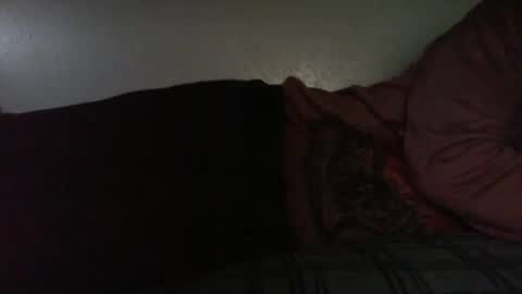 Bitch for abuse online show from 04-16-26, 06:41