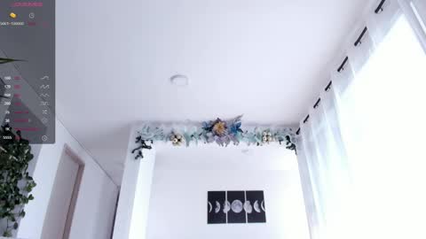 Andrew xdres08 online show from 01-15-25, 08:26