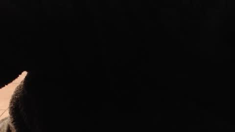 hotboxbbyz online show from 12-22-25, 10:18