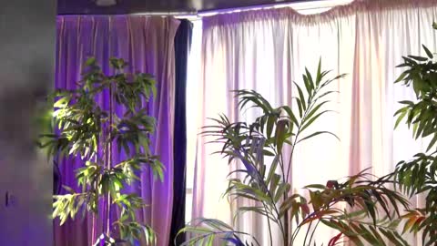 Snapshot of hotbustybabex chatting on 09-21-25, 06:15 Anais online show from 09-21-25, 06:15