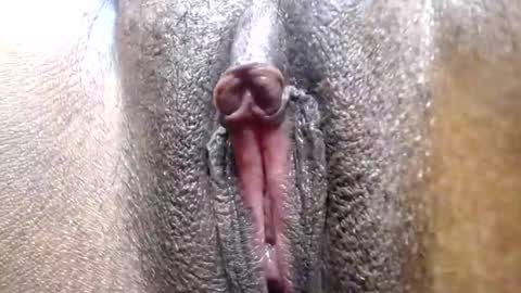 hotcake4567 online show from 02-25-26, 12:09