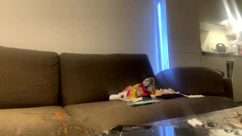 Snapshot of hotje458367 chatting on 10-05-25, 09:51 hotje458367 online show from 10-05-25, 09:51