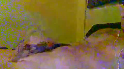 hotjox online show from 03-05-26, 06:09