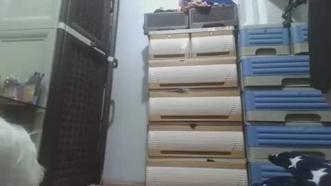 Snapshot of hotlavender chatting on 12-17-25, 02:28 hotlavender online show from 12-17-25, 02:28