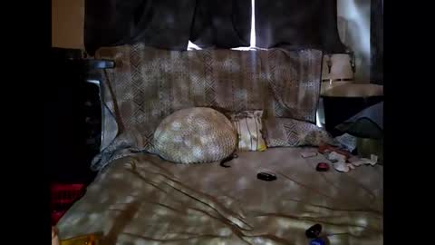 Snapshot of hotrox6942 chatting on 09-24-25, 10:51 hotrox6942 online show from 09-24-25, 10:51