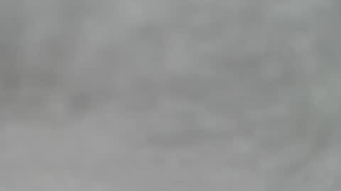 Slutty little female cat online show from 05-02-26, 04:50