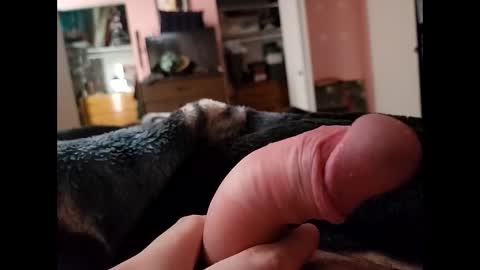 Snapshot of hourpower420 chatting on 12-27-24, 05:16 hourpower420 online show from 12-27-24, 05:16