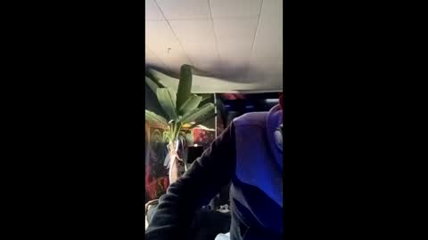 SeanPatrick online show from 05-13-26, 01:19