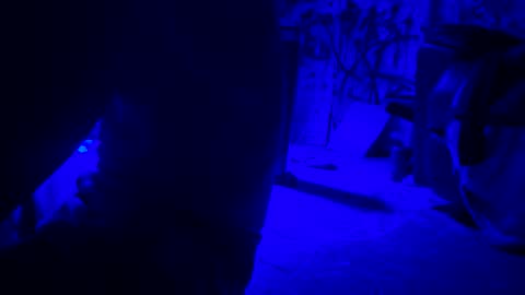 Snapshot of howbowdadareboy33 chatting on 04-21-26, 01:42 ask me online show from 04-21-26, 01:42