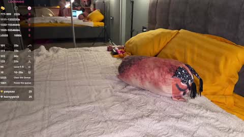 Snapshot of howtoreachorgasm chatting on 12-23-24, 04:33 Elizabeth online show from 12-23-24, 04:33