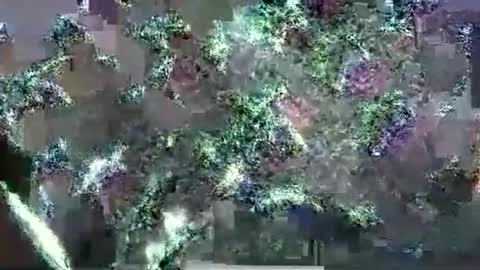 hp58649blabla online show from 09-17-25, 01:07