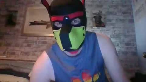 Hudson the puppy play online show from 04-02-26, 12:41