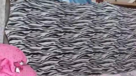 bella    passwordshow 500tokens  no time limit online show from 10-19-25, 01:56