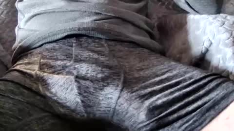 Snapshot of hugepecker131 chatting on 12-18-25, 01:17 hugepecker131 online show from 12-18-25, 01:17