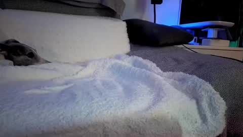 Snapshot of hugolandcam chatting on 02-14-25, 08:26 Hugo online show from 02-14-25, 08:26