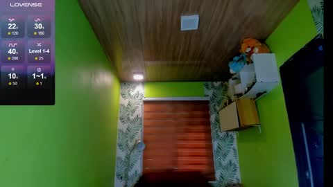 Snapshot of hungasiangirl chatting on 12-02-24, 03:04 help me make 25000 tokens for my mother HEARING aid online show from 12-02-24, 03:04