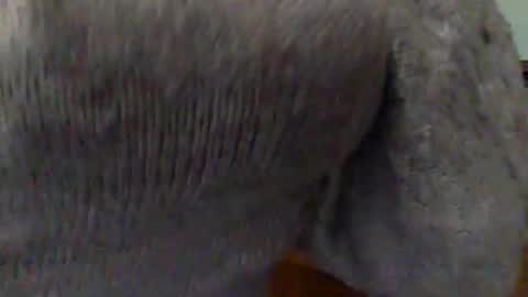 Goddess Hunyy online show from 03-01-25, 10:10