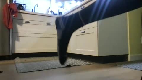Goddess Hunyy online show from 04-28-26, 01:04