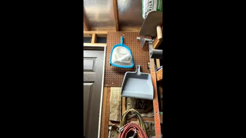 Snapshot of huskey300 chatting on 03-06-26, 02:19 huskey300 online show from 03-06-26, 02:19