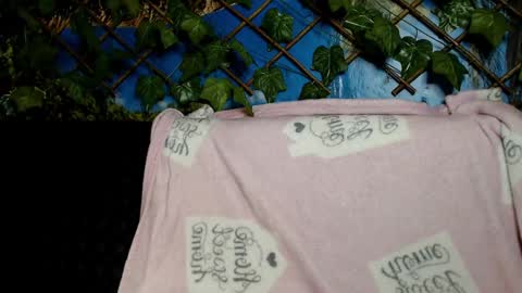 Kayla online show from 12-07-24, 04:20