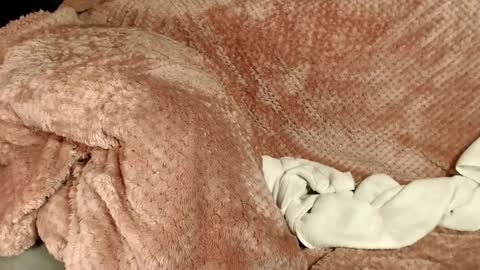 Kayla online show from 12-11-24, 04:28