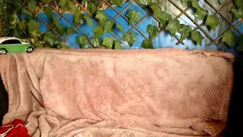 Kayla online show from 12-21-24, 04:30