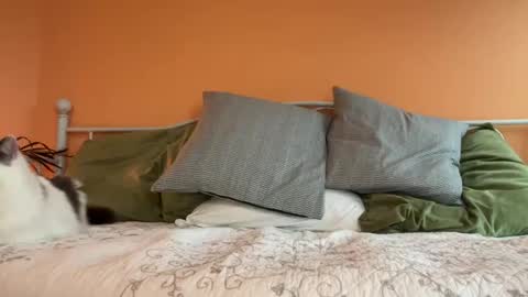 Olive online show from 10-24-25, 11:12